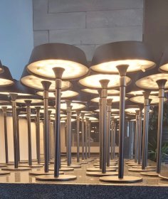 Nagłośnienie i oświetlenie imprezowe, przyjęcia w plenerze