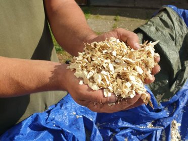 Zrębkowanie (mielenie) gałęzi -frezowanie pni