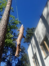 Precyzyjne usuwania awaryjnych drzew , przycinka , pielęgnacja