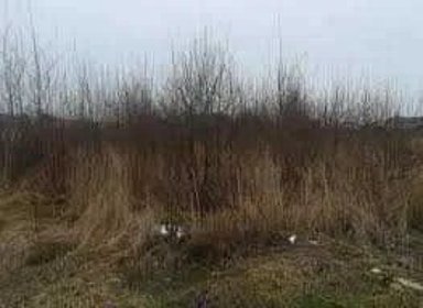 Przycinanie drzew i krzewów upraw działki zasiewy wywóz śmieci rekutywacja