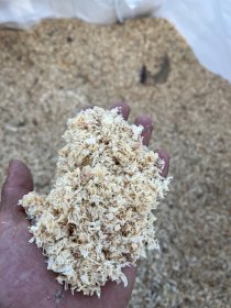 Trociny liściaste BIGBAG