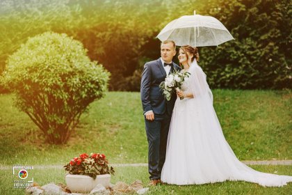 WIDEOFILMOWANIE WESEL