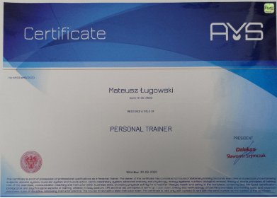 Treningi personalne - plany treningowe - prowadzenie online