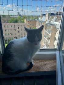 montaż siatek balkonowych przeciw ucieczce kotów oraz zabezpieczających przed gołębiami