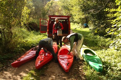 Spływ kajakowy na Pliszce
