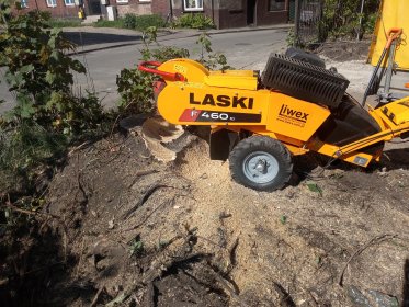 Frezowanie pni drzew