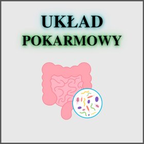 Zaburzenia układu pokarmowego