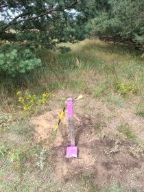 Podział nieruchomości