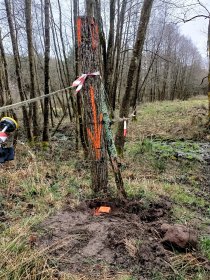 Wznowienie, odszukanie granic (do 4 punktów)