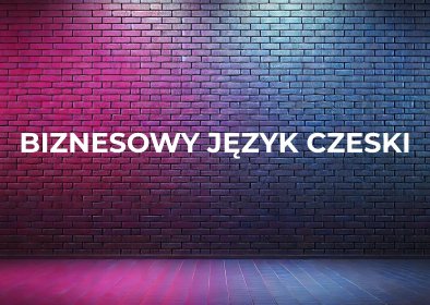 Biznesowy język czeski dla firm i profesjonalistów – Lektor Katowice / Online