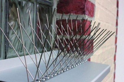 Montaż kolców przeciw gołębiom