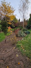 Prace porządkowe w ogrodzie