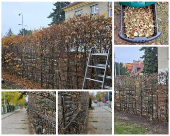 Kompleksowa obsługa ogrodu