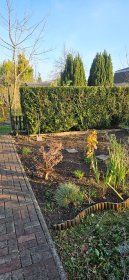 Ścinanie i przycinanie drzew o wysokości do 5 metrów, korekta drzew i krzewów (sezonowe)