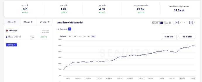Pozycjonowanie stron internetowych oraz sklepów