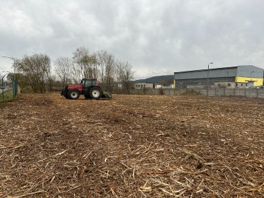 Mulczowanie terenu, oczyszczanie działki