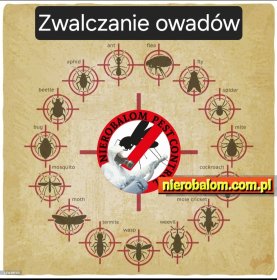 Zwalczanie owadów domowych