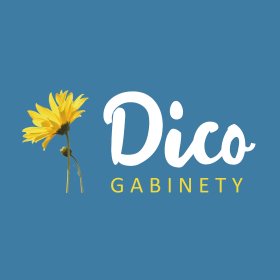 Terapia integracji sensorycznej w DICO