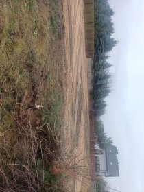 Usługi Niwelowania terenu oraz wykopy