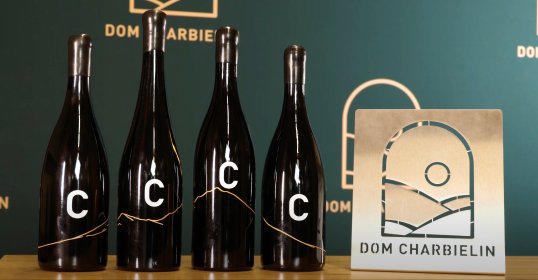 Filmy wizerunkowe dla firm