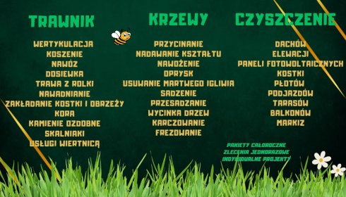 zakładanie trawników z siewu i z rolki koszenie wertykulacja dosiewka zakładanie trawników z siewu i z rolki koszenie wertykulacja dosiewka