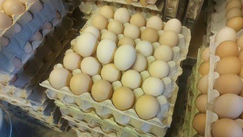 Sprzedam jajka wiejskie wolny wybieg