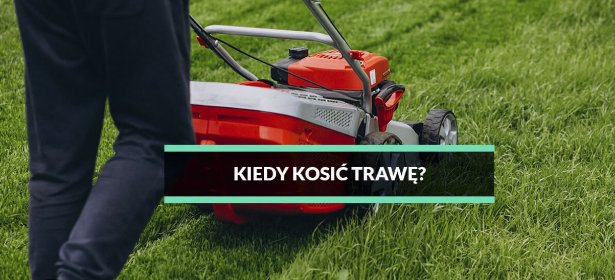 Koszenie trawnika