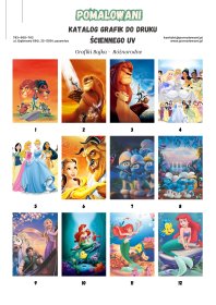 malowanie grafik i obrazów na ścianach domów i mieszkań, druk ścienny UV