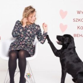 Konsultacje behawioralne Kraków