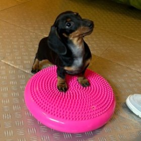 Treningi indywidualne Kraków