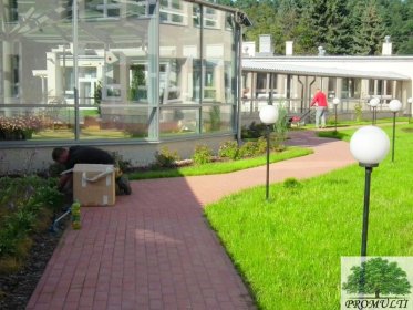 Świadczymy usługi koszenia trawników na terenie Trójmiasta