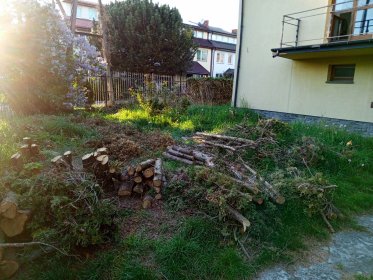 Przycinanie drzew i krzewów