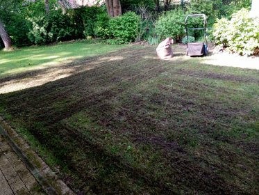 Wertykulacja i aeracja trawnika wraz z uprzątnięciem do worków / na kompostownik