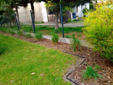 Rewitalizacja starych ogrodów