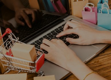 Sklepy internetowe z Digit Labs – sprzedaż bez ograniczeń