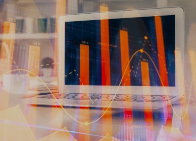 Prowadzenie kont Allegro i Allegro Ads z Digit Labs – więcej sprzedaży na największym mark