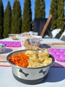 Warsztaty ekologiczne