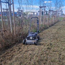 Koszenie terenów domowych, przemysłowych, oraz nieużytków
