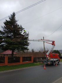 Wycinki drzew z podnośnika koszowego