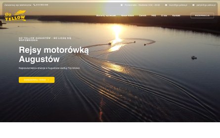 Tworzenie stron internetowych z CMS Wordpress