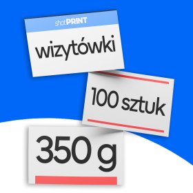 Wizytówki 100 sztuk