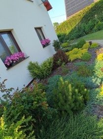 Oczyszczanie iglaków ,przycinanie krzewów,pielenie ,podlewanie ,nawożenie ,opryski