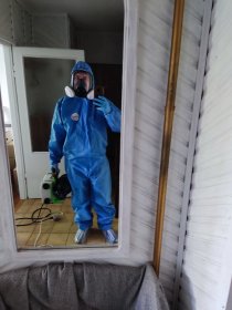 Zwalczanie pluskiew, karaluchów, prusaków