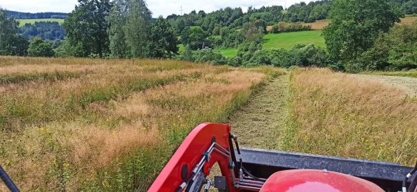 Koszenie trawy i nieużytków kosiarką bijakową