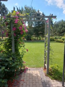 Kompleksowa pielęnacja ogrodów