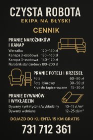 Kompleksowe pranie mebli tapicerowanych i dywanów