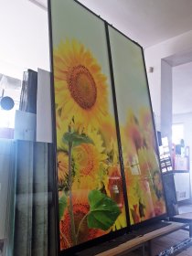 Drzwi do szaf przesuwnych z wypełnieniem ze szkła - lacobel z grafiką