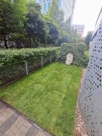 Zakładanie trawników z siewu i z rolki