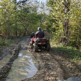 Quady na wydarzenia firmowe