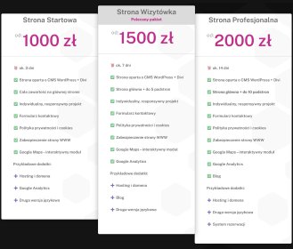 ✨ Strona Profesjonalna